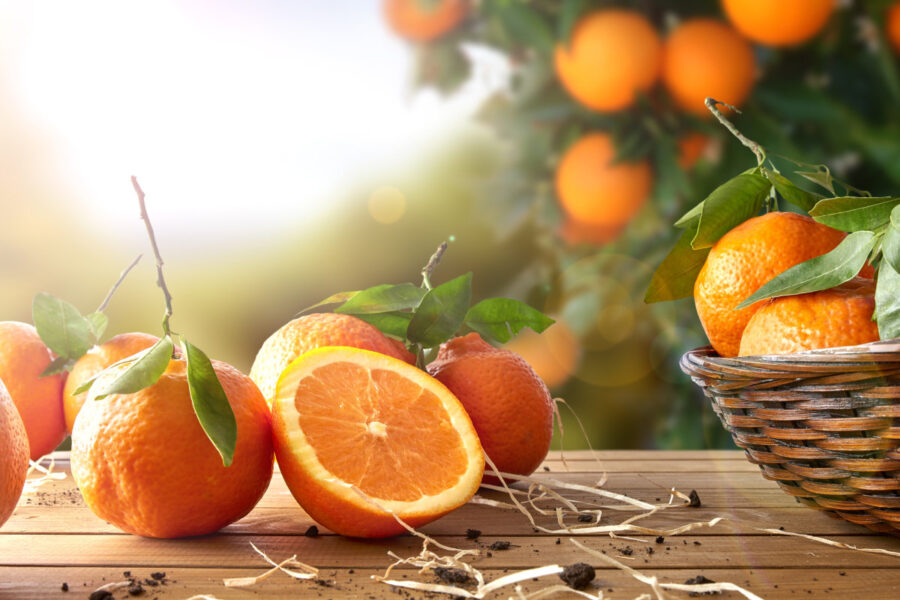 Vitamin C za cijelu obitelj